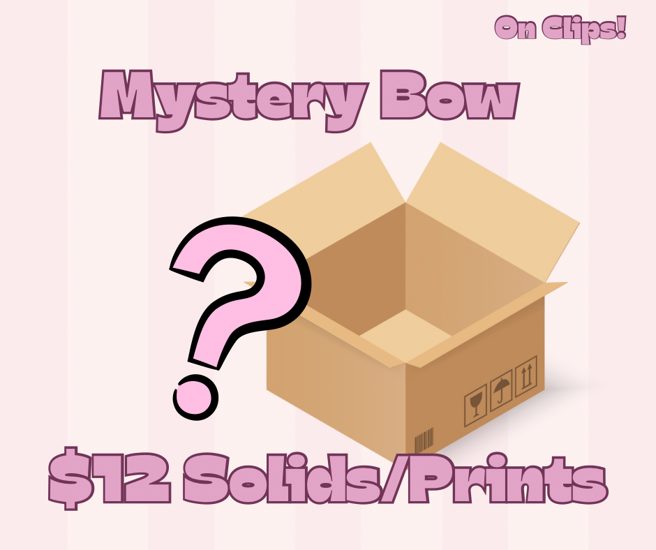$12 Mystery Bow Lynlee Blair's Bows